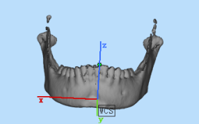 下颚骨模型