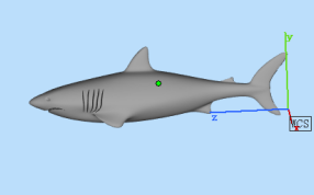 大鲨鱼模型