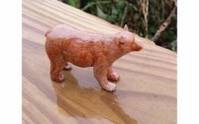 小棕熊模型