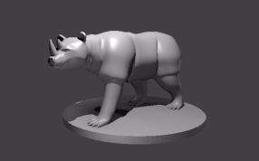 犀牛熊模型