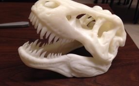恐龙头骨模型