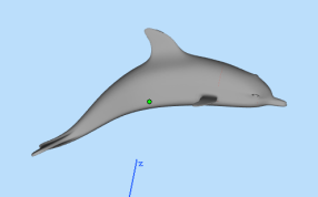动物海豚模型