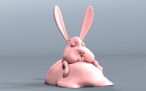 胖胖的兔子奔奔
