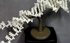 DNA展示模型 