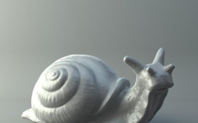 蜗牛“标本”