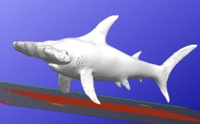锤头鲨造型