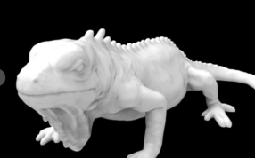 小鬣蜥模型