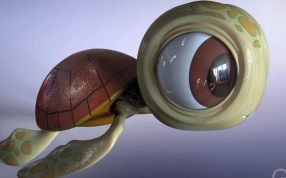 大眼乌龟设计