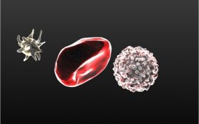 血细胞模型设计