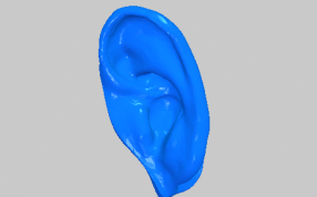 耳朵器官打印模型