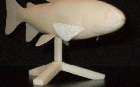 可摆放的打印的草鱼模型