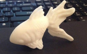 双尾金鱼的打印模型