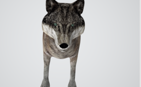  灰狼3D打印