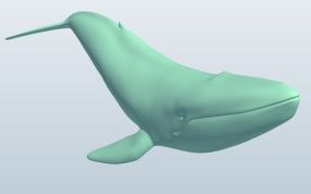 蓝鲸打印模型