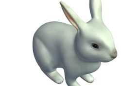 小白兔模型