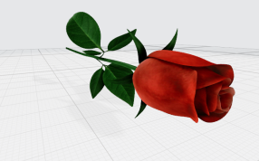 玫瑰丛中模型
