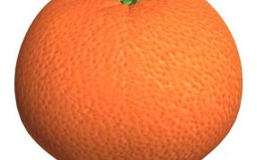  水果橘子模型