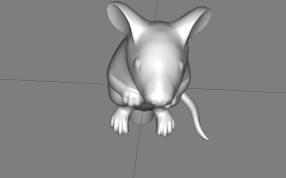 老鼠打印模型