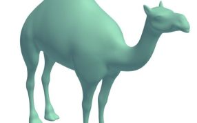 骆驼打印模型