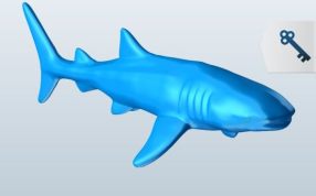 鲸鲨打印模型