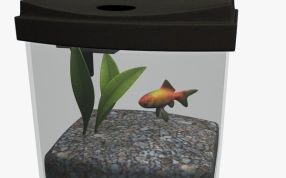 鱼缸打印模型