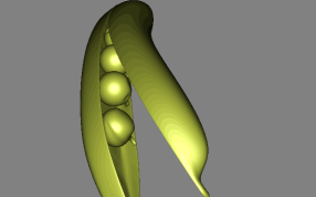 豌豆荚设计模型