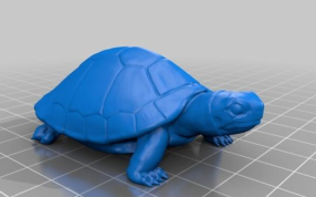 沙滩海龟模型