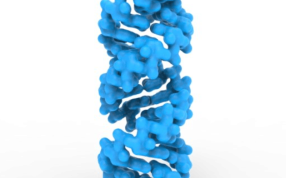 RNA螺旋结构
