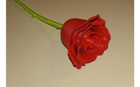 玫瑰花的3D模型