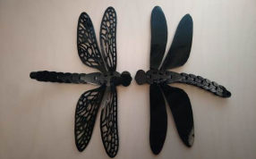 软盘蜻蜓模型