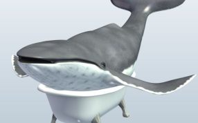 浴盆里的鲸鱼