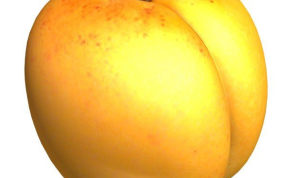 水果桃子模型