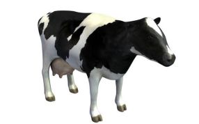  奶牛模型设计